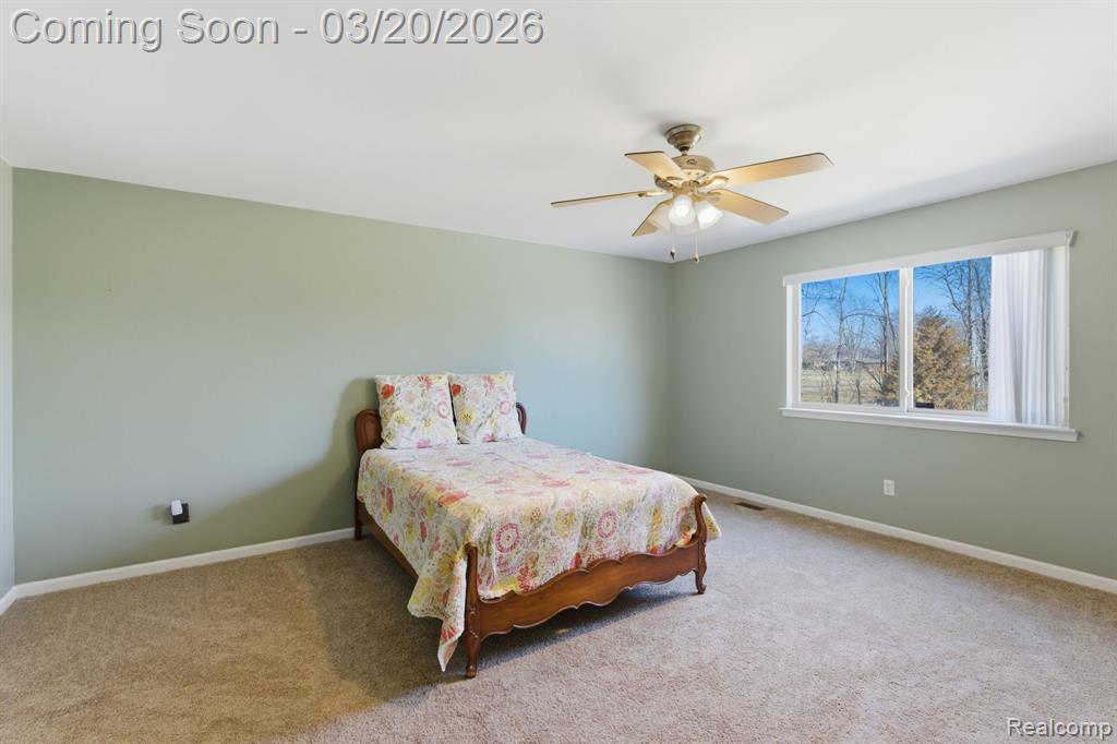 35950 Tamarack Court, New Baltimore, MI 48047 — Photo 12