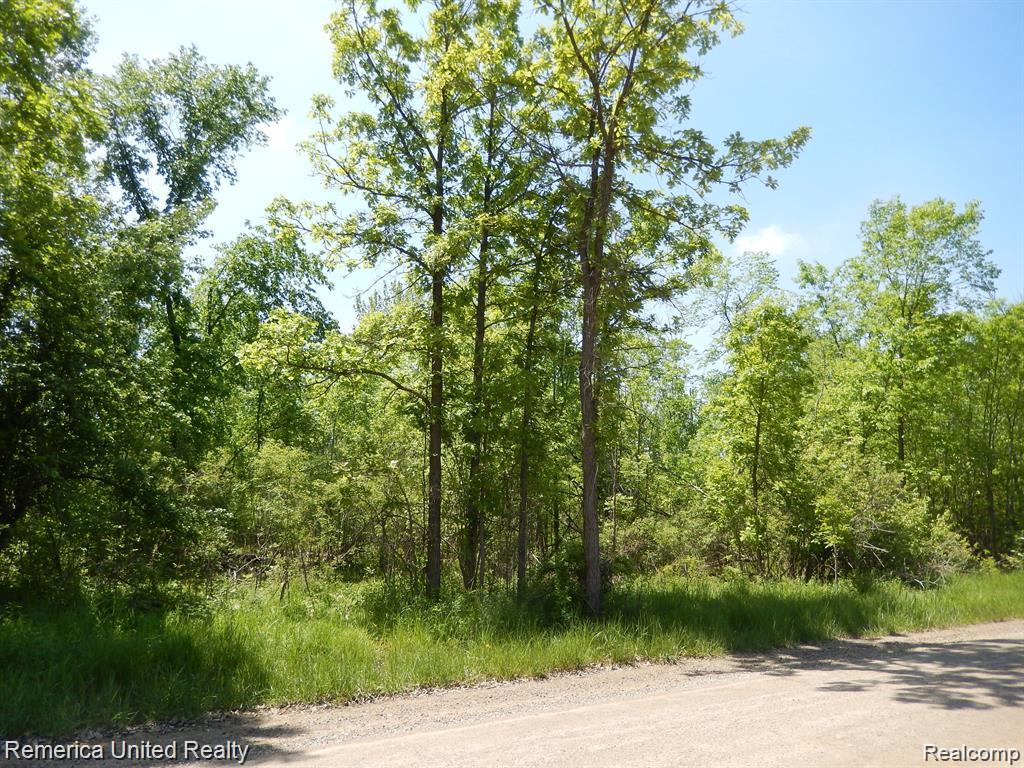 Parcel 20 Munsell Road, Howell, MI 48843 — Photo 2