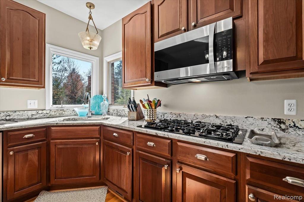 46833 MARISA, Plymouth, MI 48170 — Photo 18