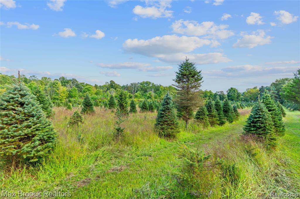 4700 Stanley Road, Columbiaville, MI 48421 — Photo 77