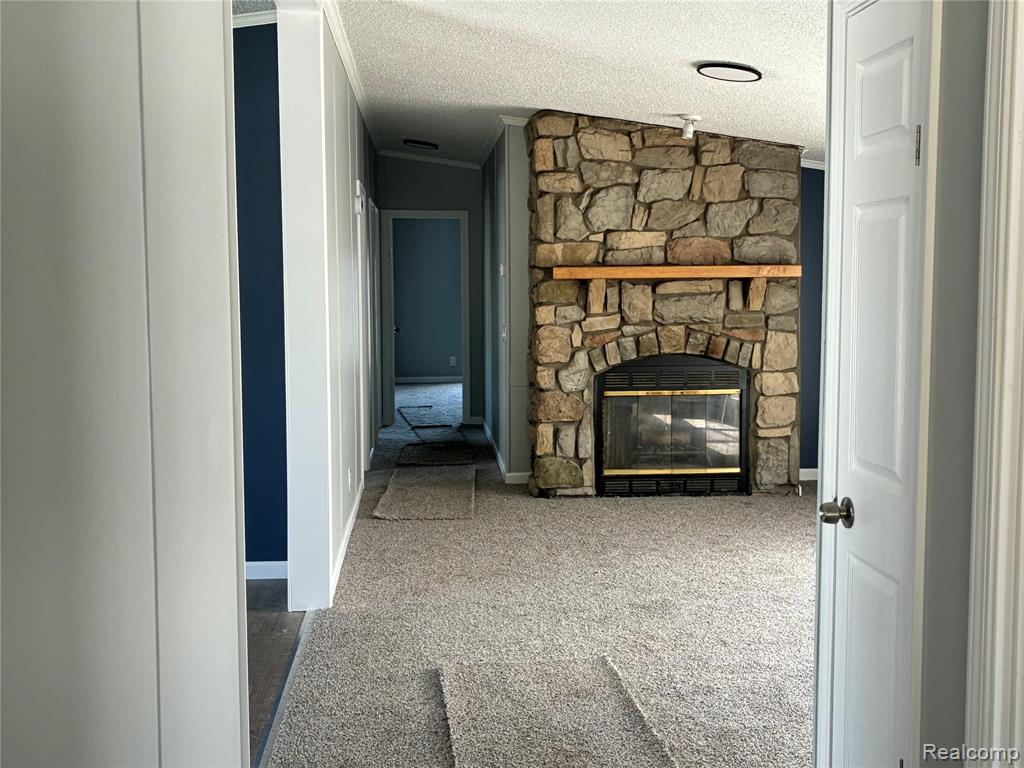 420 Hidden Ridge, Morrice, MI 48857 — Photo 3