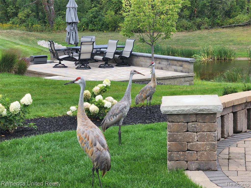 61964 Saddlecreek Drive, South Lyon, MI 48178 — Photo 60