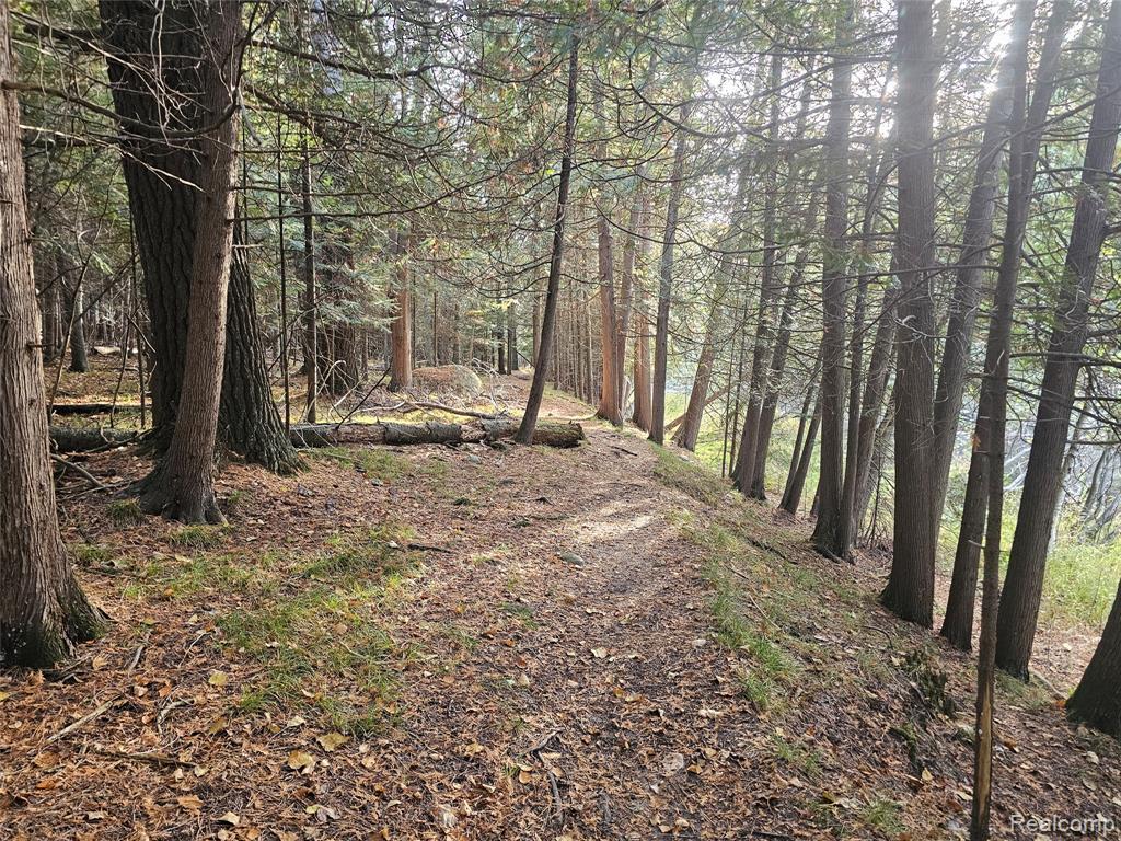 4901 M-55, Tawas City, MI 48763 — Photo 46