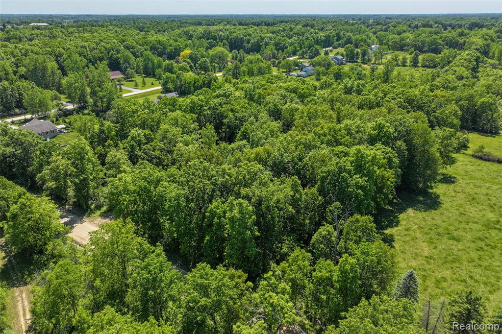 3075 Crandall Road, Howell, MI 48855 — Photo 12