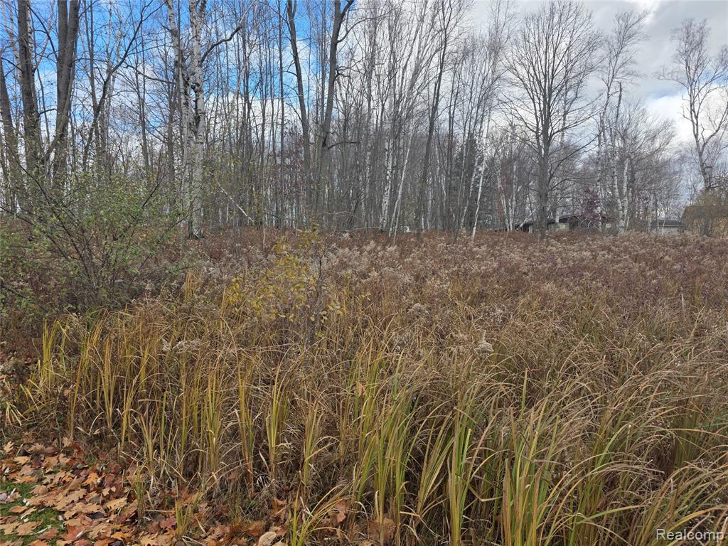 VL Birch Road, Evart, MI 49631 — Photo 7
