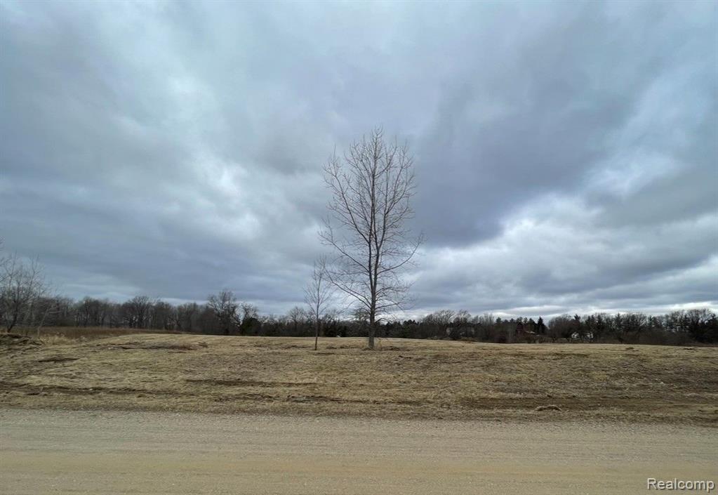 Parcel 3 S Creek Ln, Dryden, MI 48428 — Photo 2