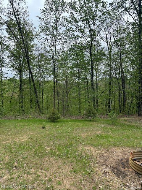 3624 WINDY HOLLOW ROAD NW, Rapid City, MI 49676 — Photo 10