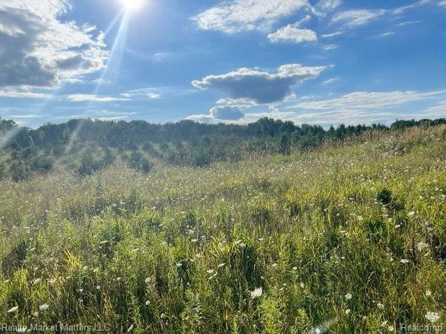 5770 Denhoff Road, Kingston, MI 48741 — Photo 21