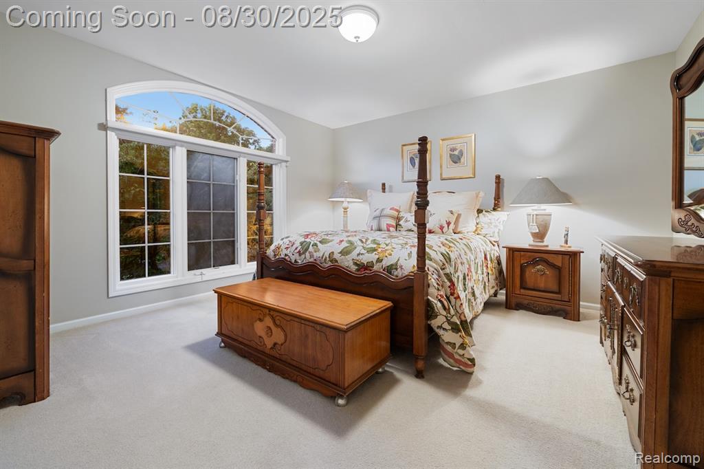 50173 Thetford Court W, Canton, MI 48187 — Photo 30