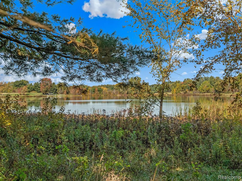 4695 Waterwood Way, Howell, MI 48855 — Photo 16