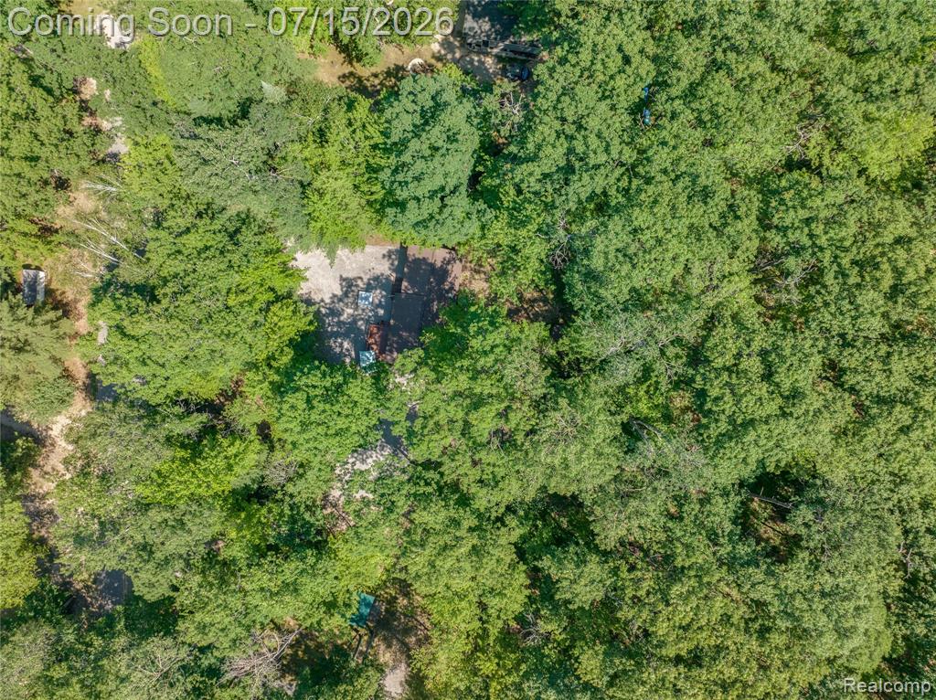 371 Dyer Road, Rose City, MI 48654 — Photo 22