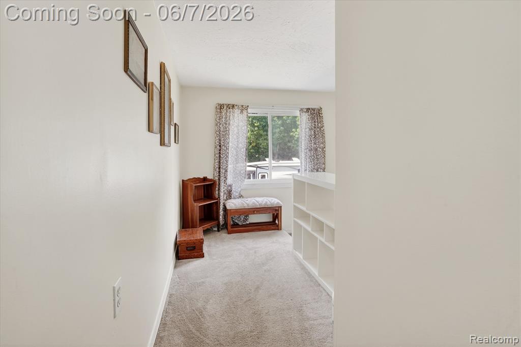 239 E Chestnut Street, Webberville, MI 48892 — Photo 24