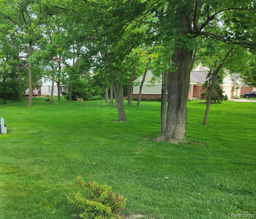 43674 Christopher Court, Canton, MI 48188 — Photo 27