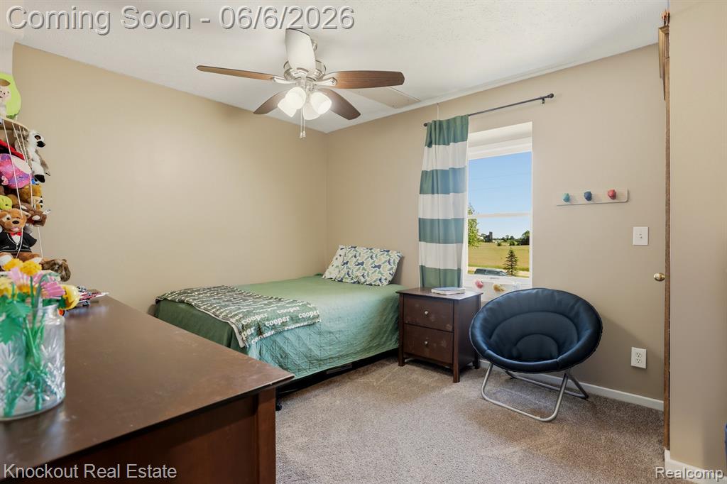 7616 Fostoria Road, Mayville Vlg, MI 48744 — Photo 38