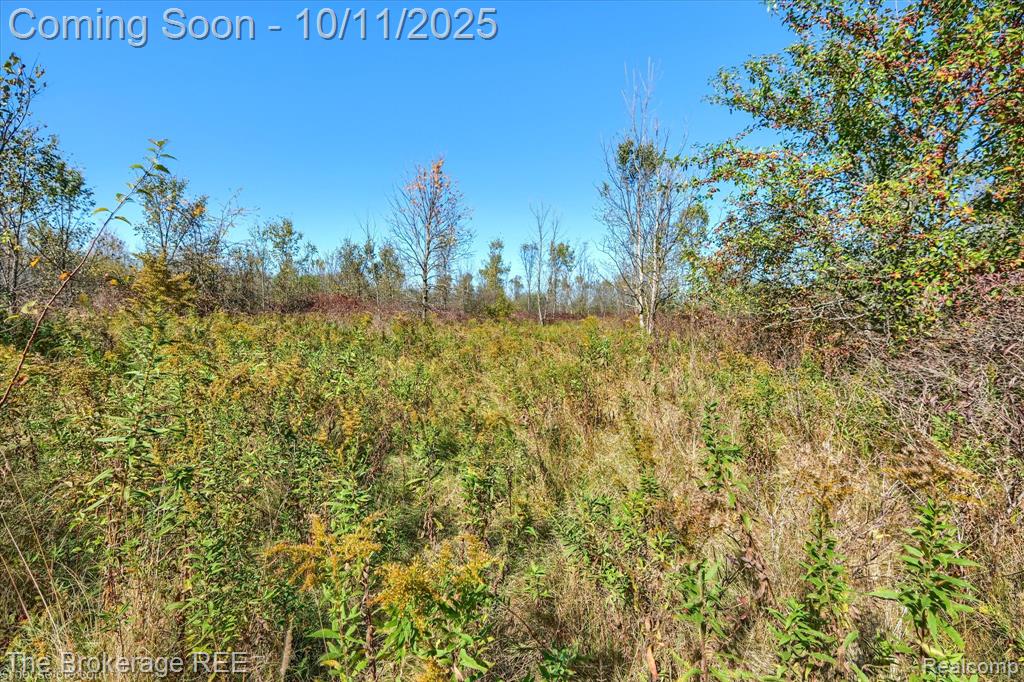 5234 Kelly Road, Flint, MI 48504 — Photo 14