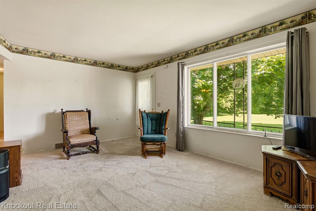 4585 Birch Run Road, Millington, MI 48746 — Photo 10