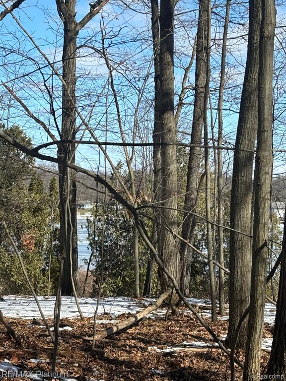V/L TIPSICO LAKE ROAD, Holly, MI 48442 — Photo 6