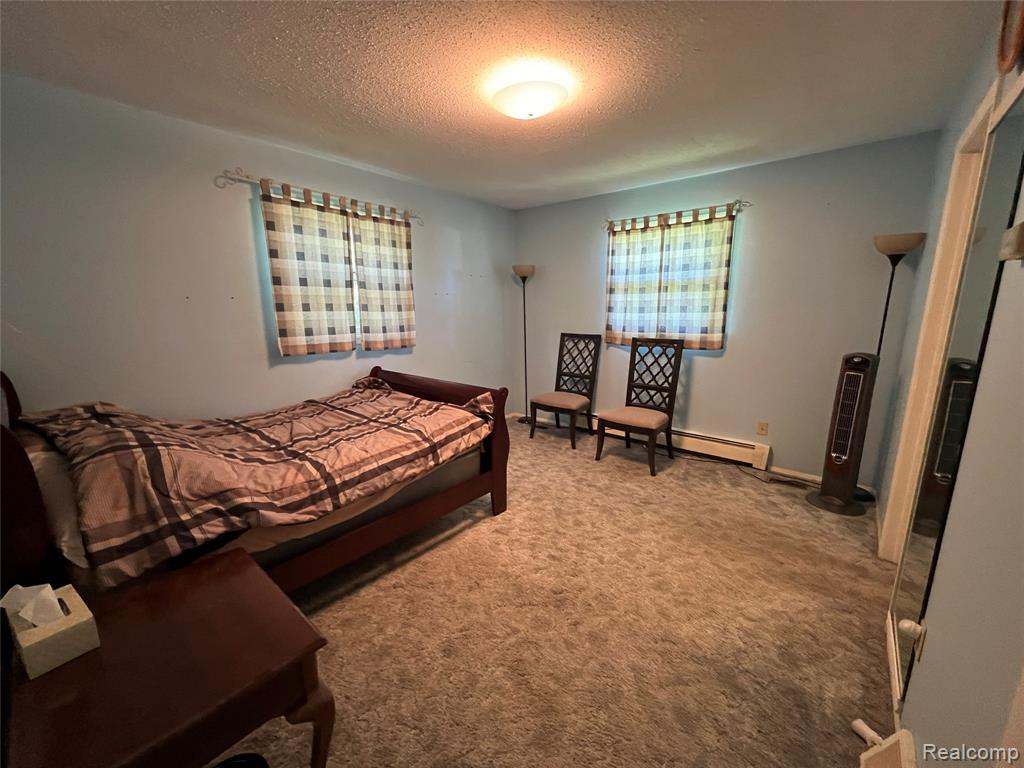 4480 W Frances Road, Clio, MI 48420 — Photo 19