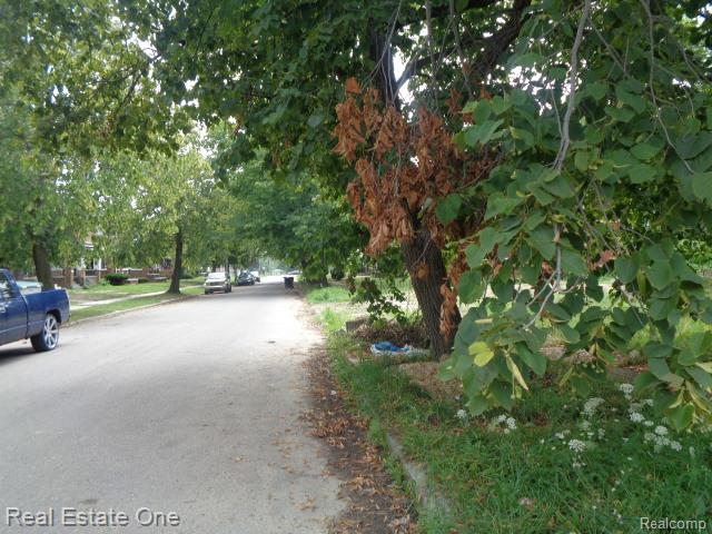 9005 N Martindale Street, Detroit, MI 48204 — Photo 23