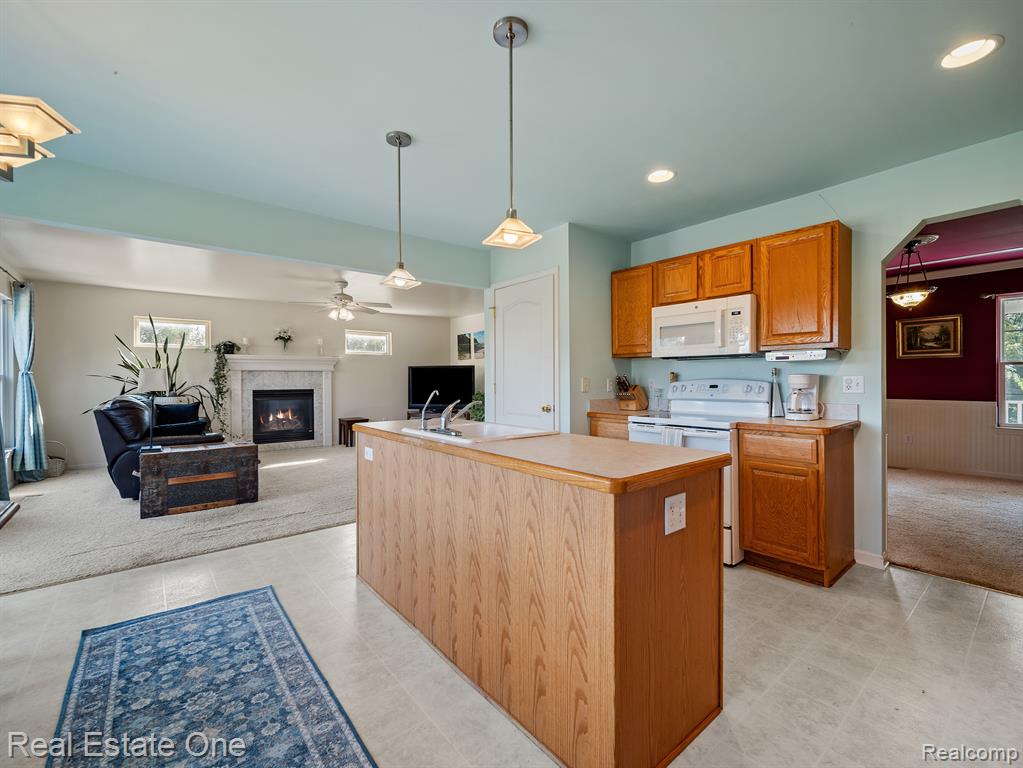 7796 LANGE Road, Fowlerville, MI 48836 — Photo 11