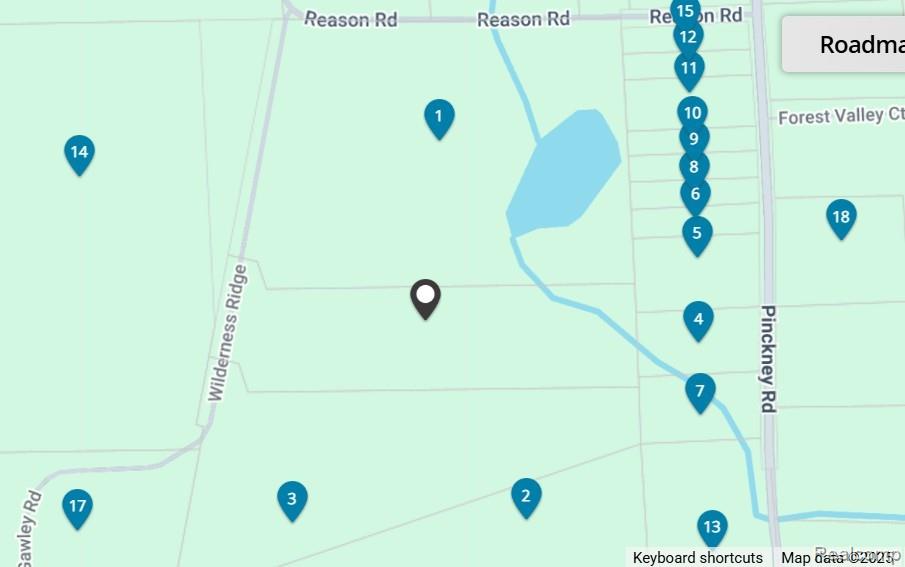 Vacant Land Reason Rd, Pinckney, MI 48169 — Photo 4