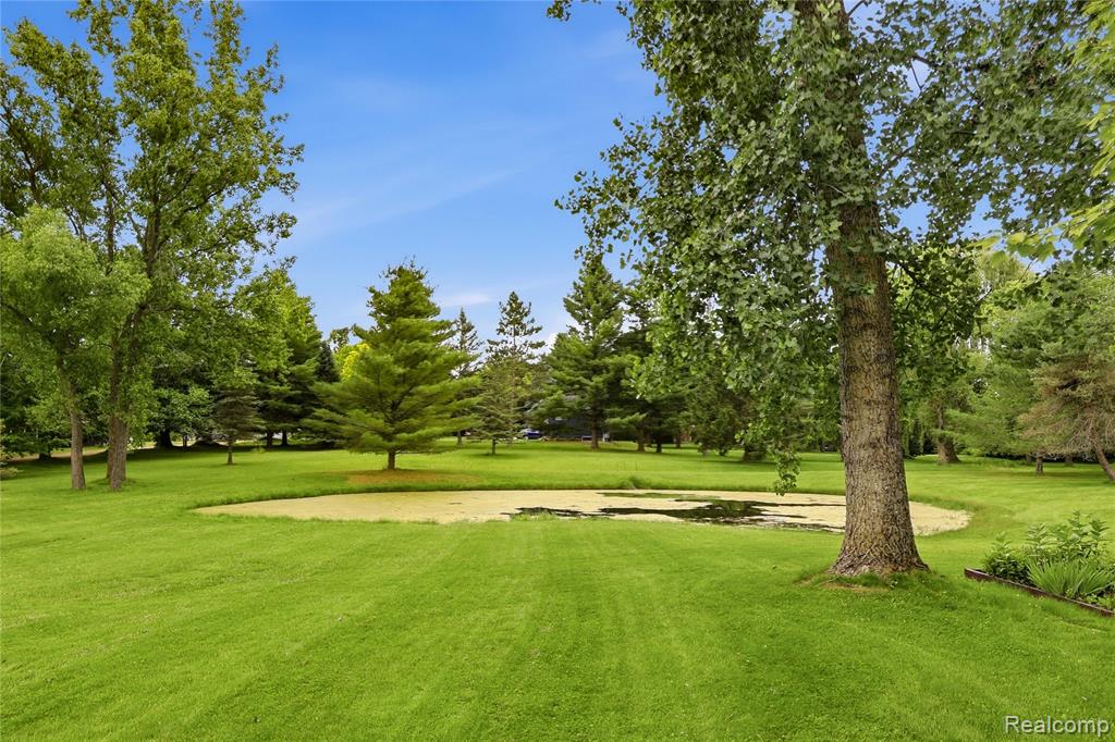 1995 Mitchell Lake Road, Attica, MI 48412 — Photo 41