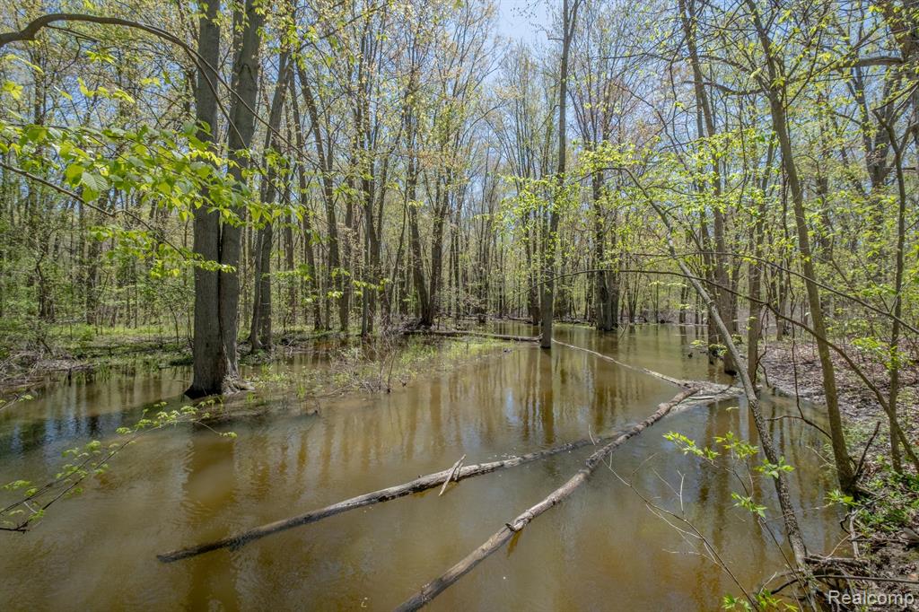 9225 FENTON Road, Grand Blanc, MI 48439 — Photo 31