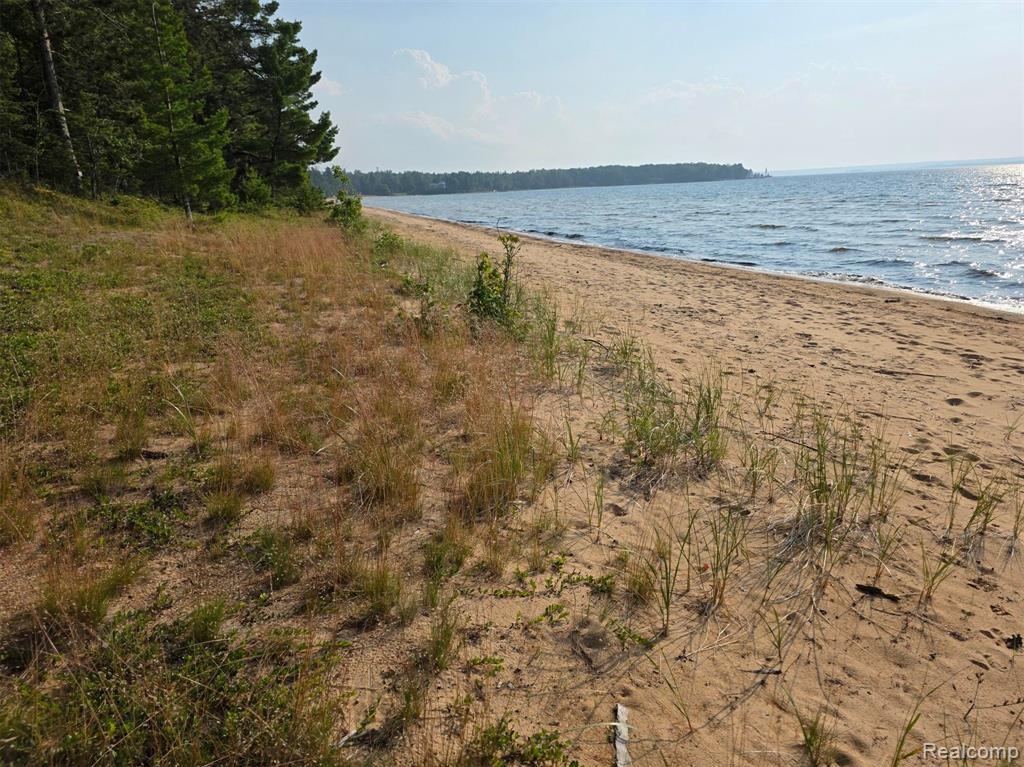 4680 S Pineshore Row, Brimley, MI 49783 — Photo 6