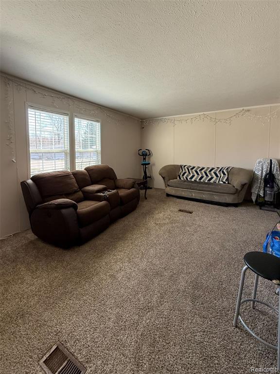 389 Rustic Lane N, Belleville, MI 48111 — Photo 10