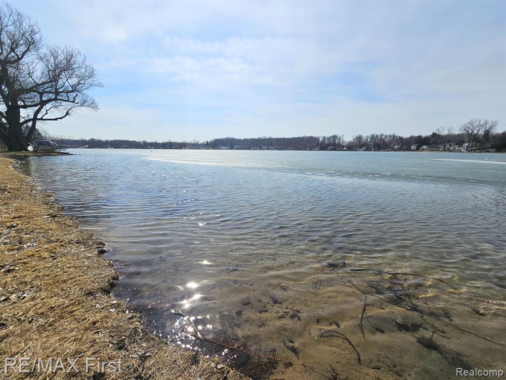 700 BYRAM LAKE Drive, Linden, MI 48451 — Photo 33
