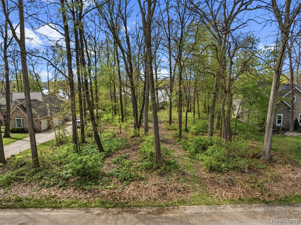 7531 Kovacs Drive, Linden, MI 48451 — Photo 11