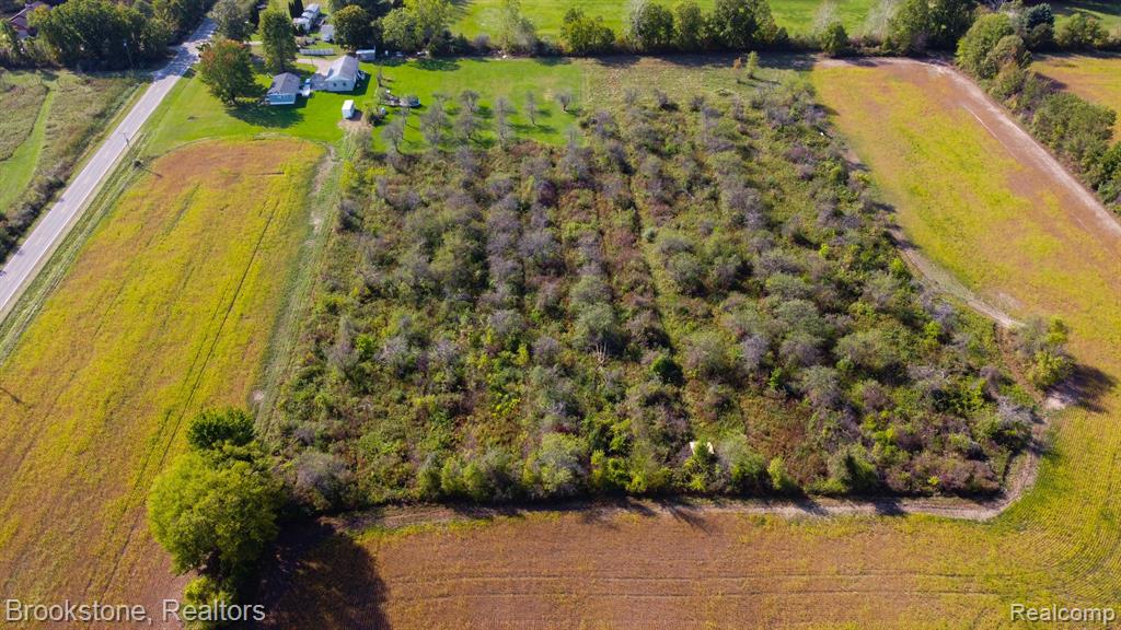 8390 SPARLING Road, Wales, MI — Photo 5