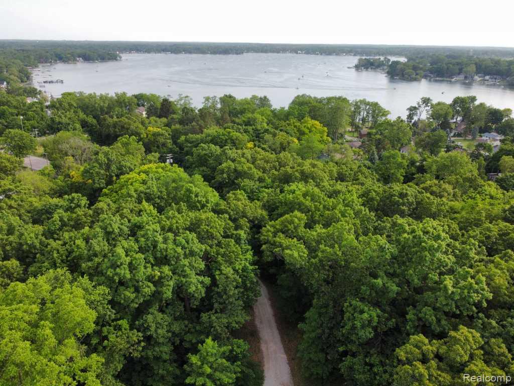 10429 9 Mile Road, Whitmore Lake, MI 48189 — Photo 40