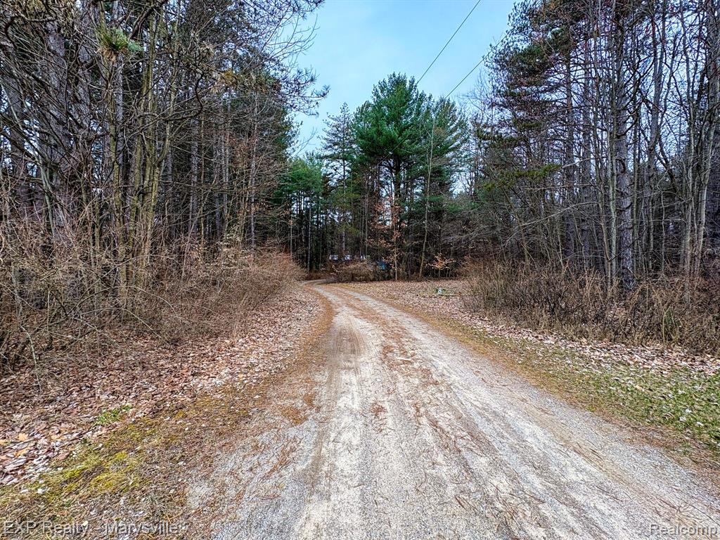 1204 WEEDEN Road, Caro, MI 48723 — Photo 10