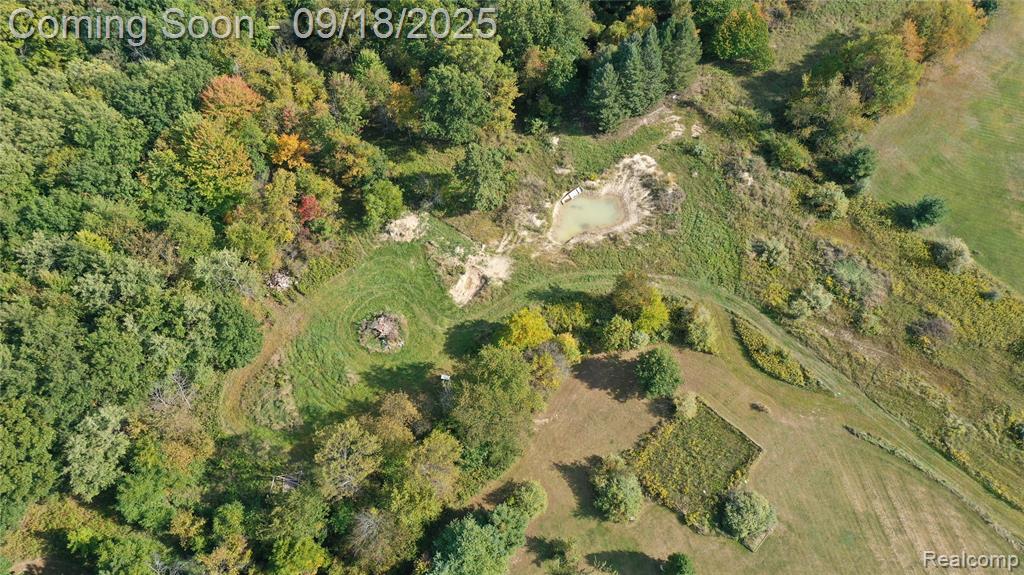 12361 Duffield Road, Gaines Vlg, MI 48436 — Photo 42