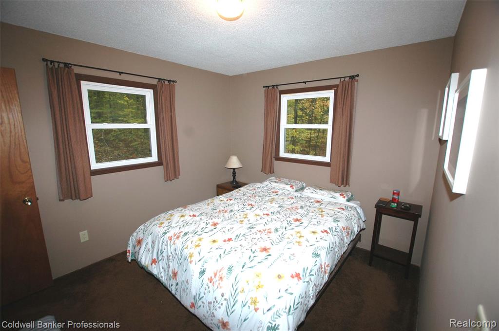 10120 Alpine Drive, Reed City, MI 49677 — Photo 12