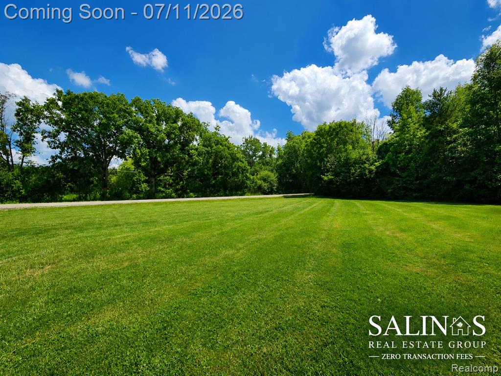 2120 Montague Road, Davison, MI 48423 — Photo 10