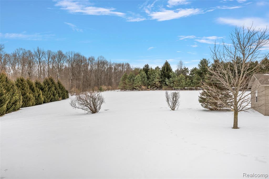 6140 BROOKHAVEN Drive, Imlay City, MI 48444 — Photo 42