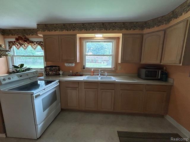 6013 Cornell Street, Taylor, MI 48180 — Photo 8