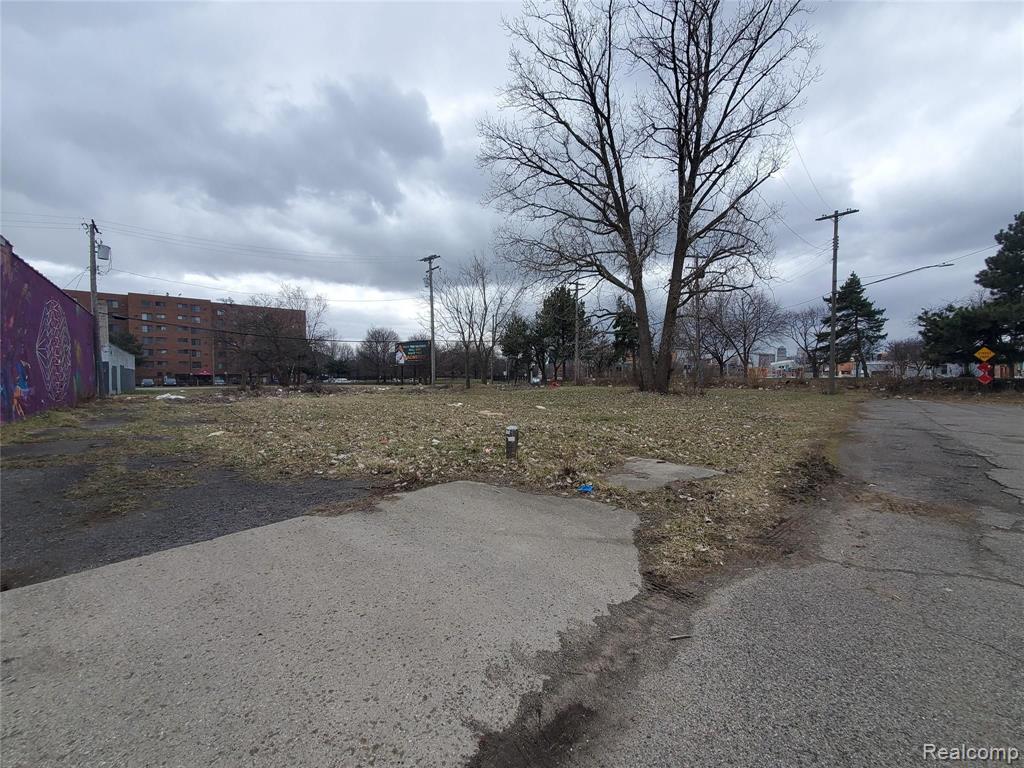2527 DUBOIS, Detroit, MI 48207 — Photo 6