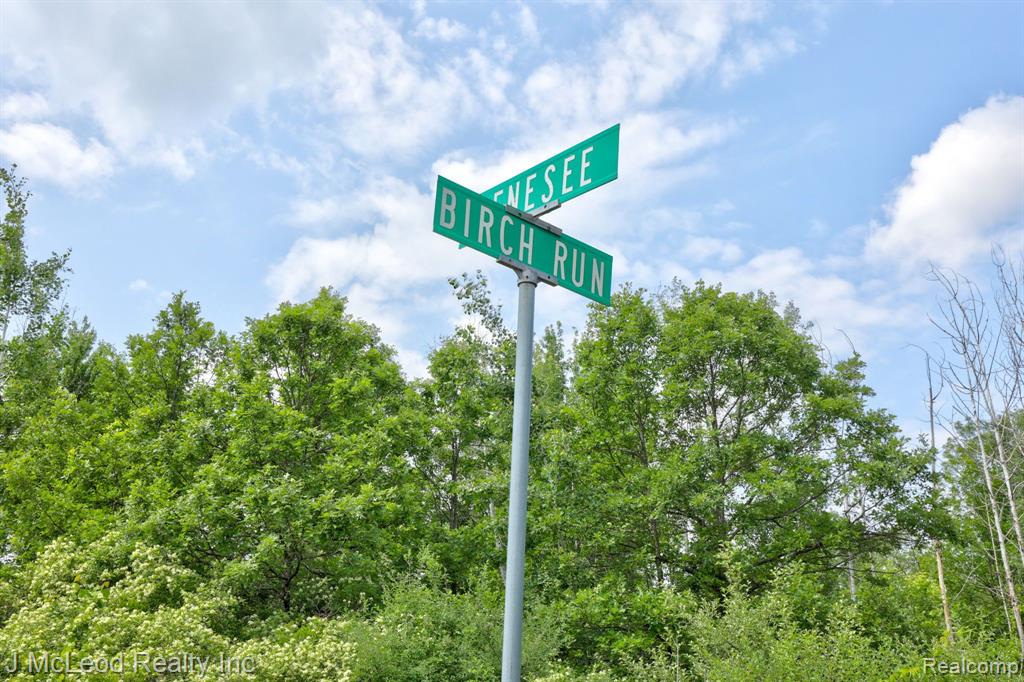 VL 0320 BIRCH Run, Millington, MI 48746 — Photo 28