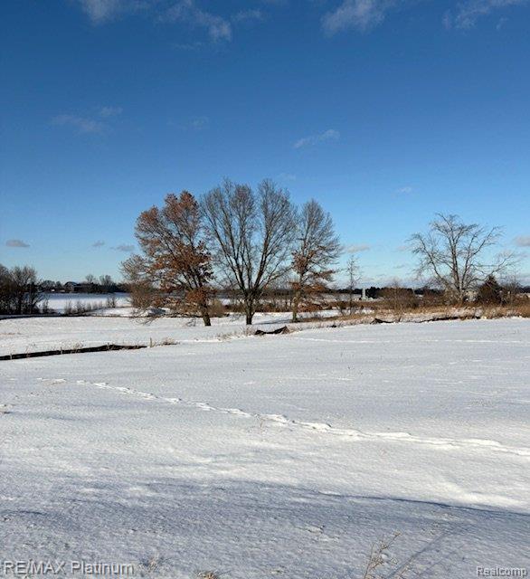 Lot 5 Misty Meadows, Howell, MI 48843 — Photo 4