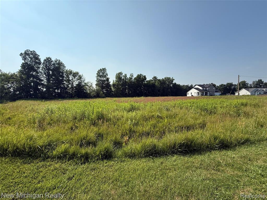 9807 Oak Ridge Road, New Lothrop, MI 48460 — Photo 5