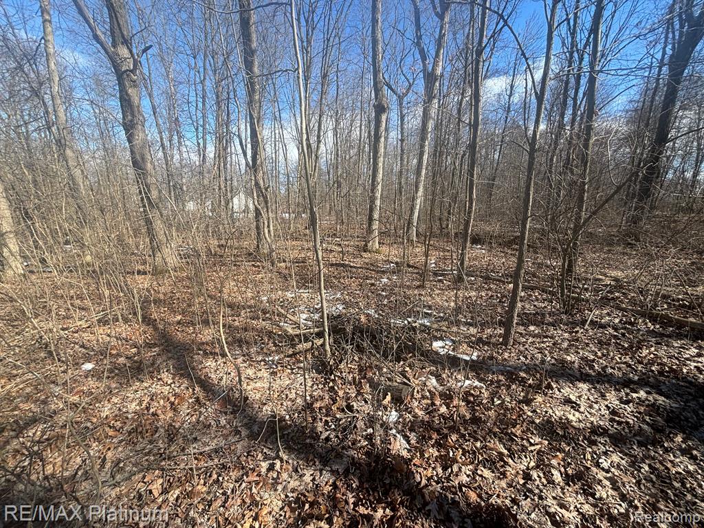 V/L HARTLAND ROAD, Fenton, MI 48430 — Photo 4