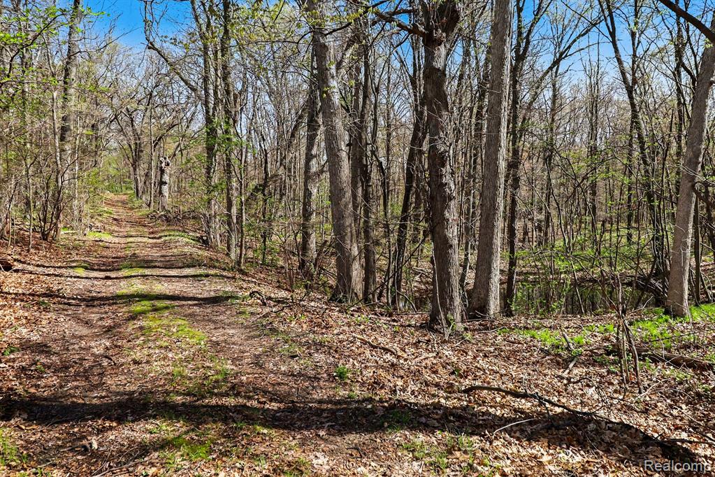 8815 Milford Road, Holly, MI 48442 — Photo 22
