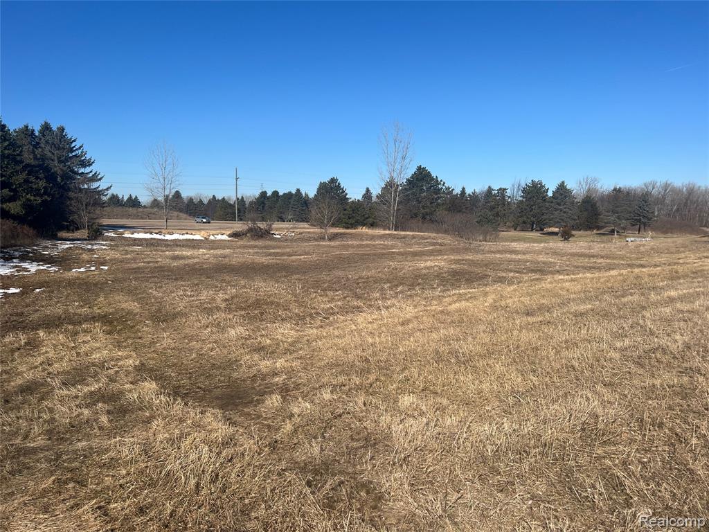 VL Mertz Rd, Mayville Vlg, MI 48744 — Photo 15