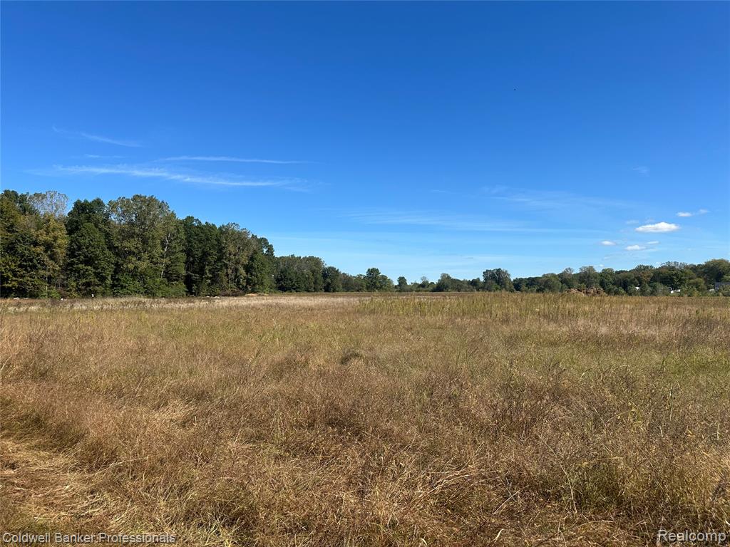 14235 WANTY Road, Milan, MI 48160 — Photo 11