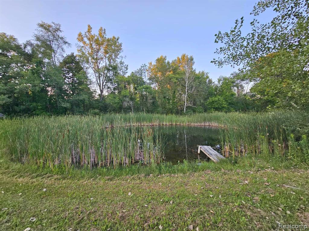 6392 Lake Rd, Millington, MI 48746 — Photo 3