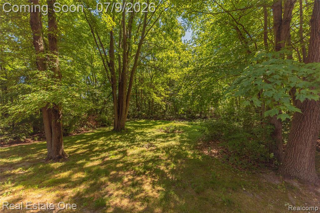 7965 Howard Street, Whitmore Lake, MI 48189 — Photo 14