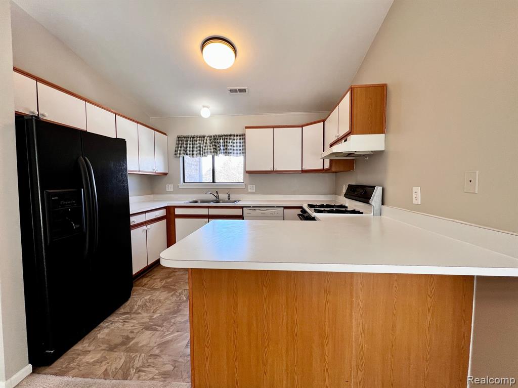 42601 LILLEY POINTE Drive, Canton, MI 48187 — Photo 5